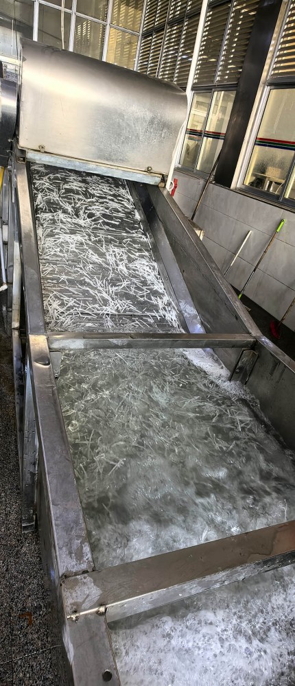 脫水蘿卜系列10